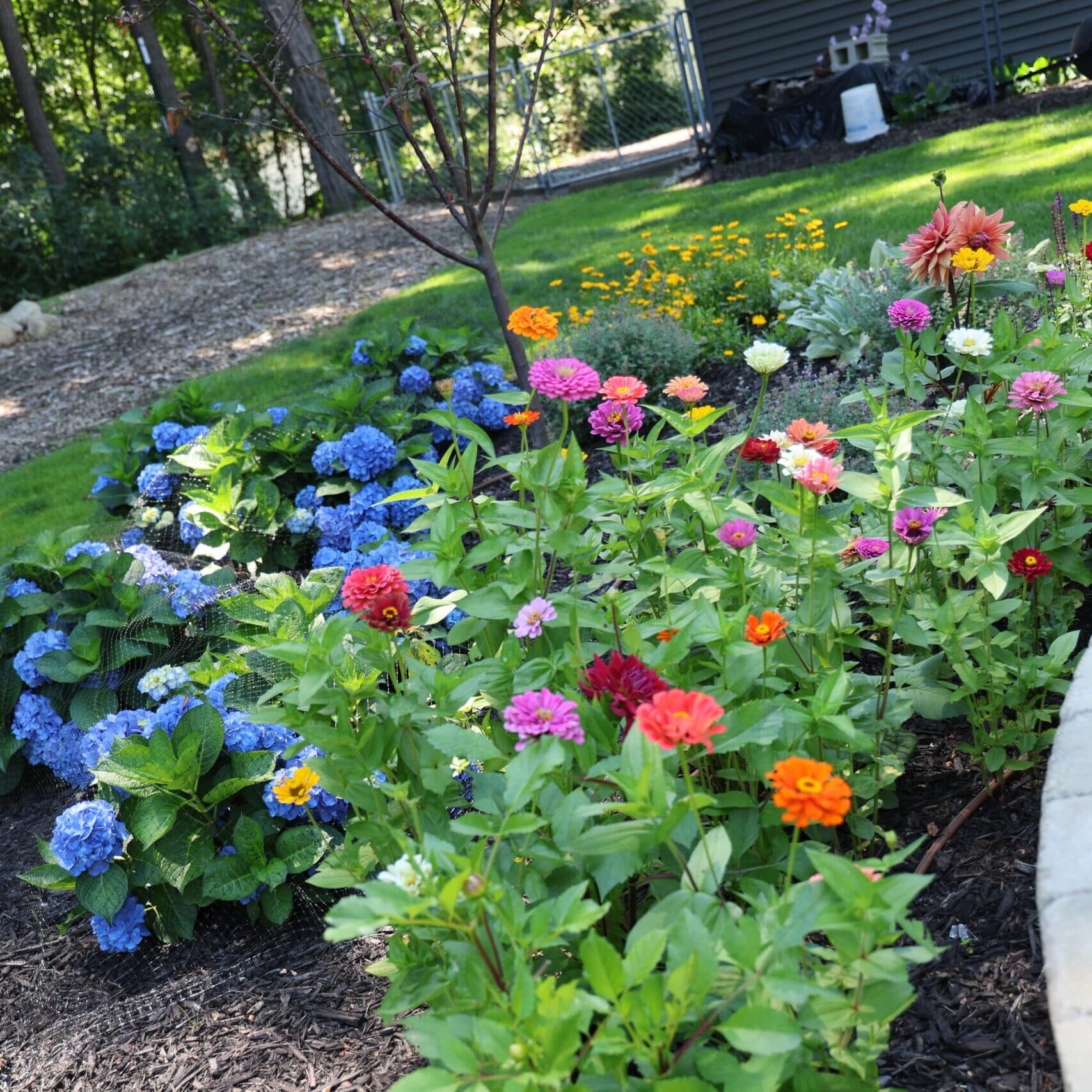A Welcoming Community for Every Gardener