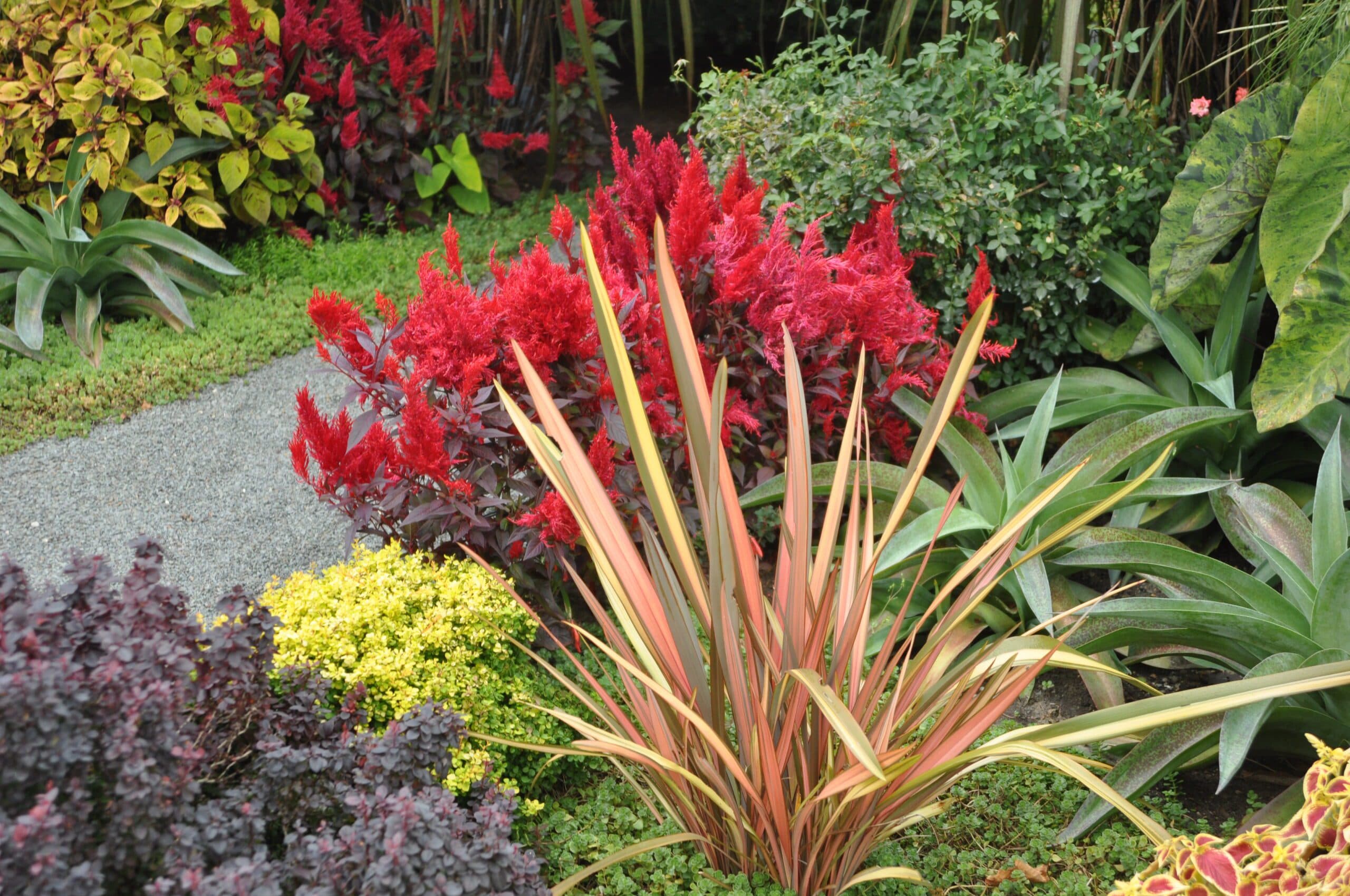 Saugatuck Douglas Garden Club blooming perennial garden